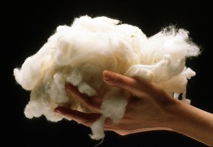 CSIRO_ScienceImage_11160-Scoured Wool_1