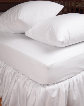 Bed Bug Protectors